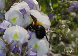 DSC08022_conew1.jpg