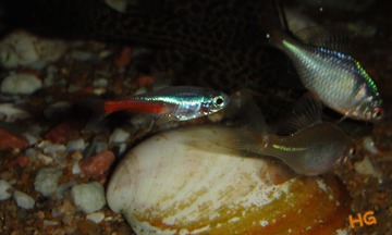 DSC03174 - 副本_conew1.jpg