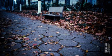 IMG_7675-11