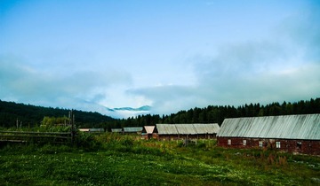 IMG_3135.jpg