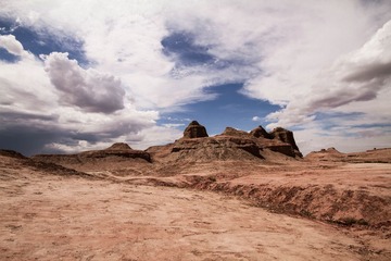 IMG_3205.jpg