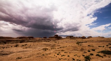 IMG_3210.jpg