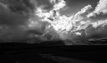 IMG_3353.jpg