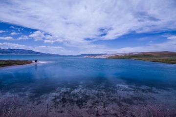 IMG_3533.jpg