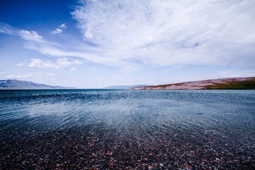 IMG_3565.jpg