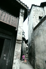 IMGP3633.jpg