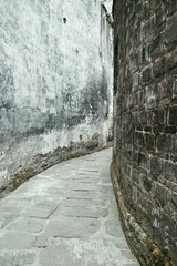 IMGP3727.jpg