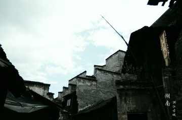 IMGP3732.jpg