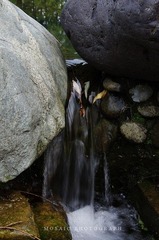 080404.jpg