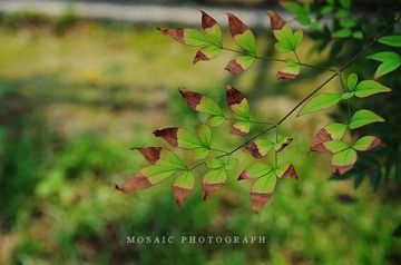 0804024.jpg