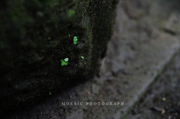 0804034.jpg