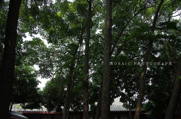 0804035.jpg