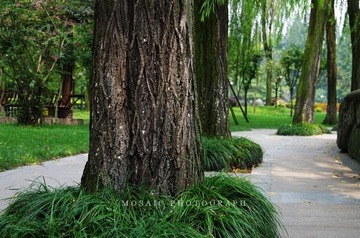 0804050.jpg
