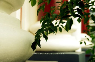 IMGP4050_副本.jpg