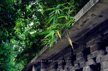 IMGP4164_副本.jpg