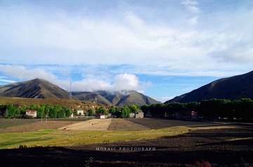 IMGP6920_