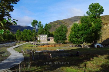 IMGP6955_