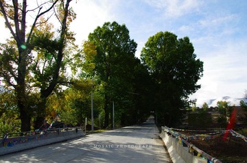 IMGP6967_