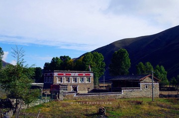 IMGP6971_