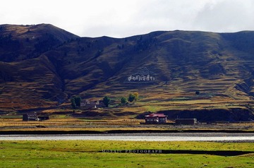 IMGP7052_