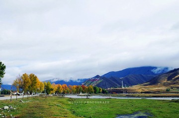 IMGP7067_