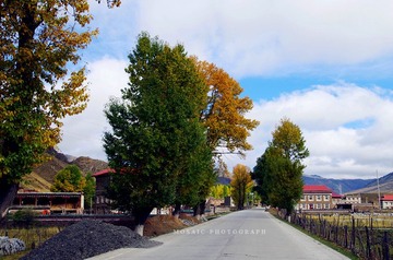 IMGP7095_