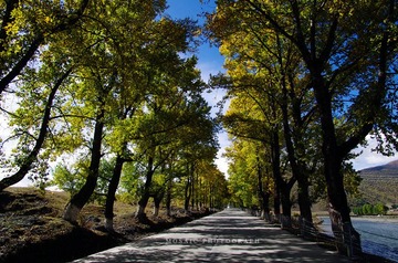 IMGP7228_