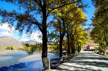 IMGP7231_