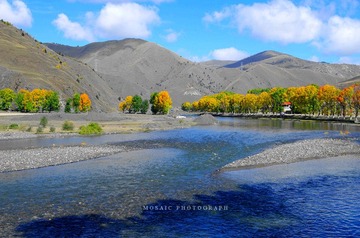 IMGP7241_