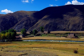 IMGP7480_