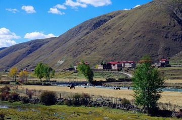 IMGP7495_