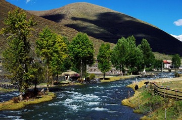 IMGP7549_