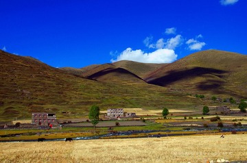 IMGP7559_