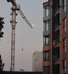 2646143