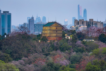 山外青山楼外楼