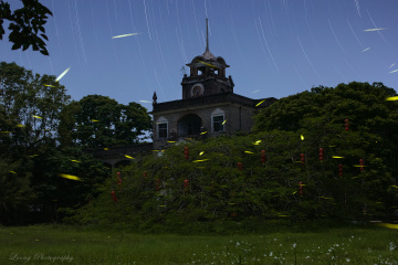 星光流萤交织之夜