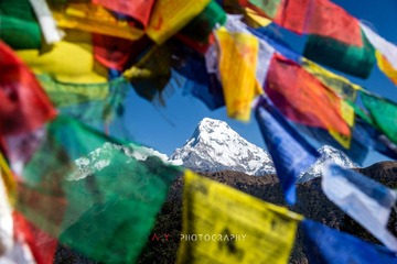 _DSC4479
