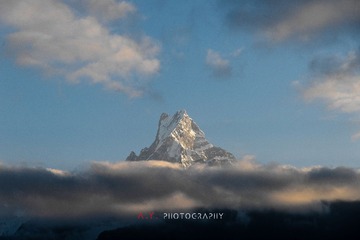 _DSC4509