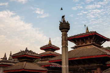 _DSC5354