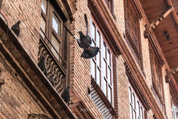 _DSC4952-1