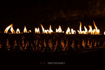 _DSC5983