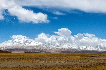 _DSC9591-