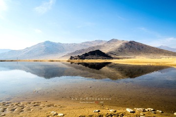 _DSC9659-1