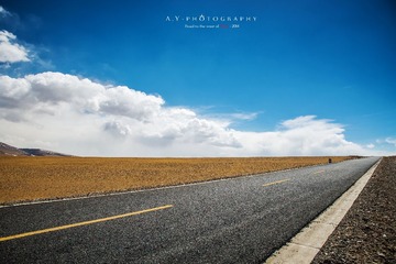 _DSC9745