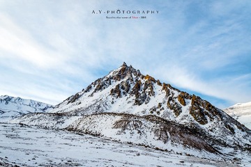 _DSC9952