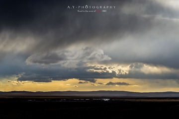 _DSC0065