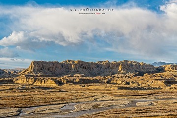 _DSC0210