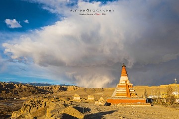 _DSC0221