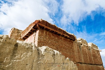 _DSC0444
