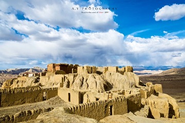 _DSC0475